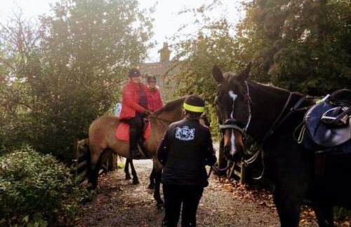 The Barn at Star Chamber Farm - Photo 34