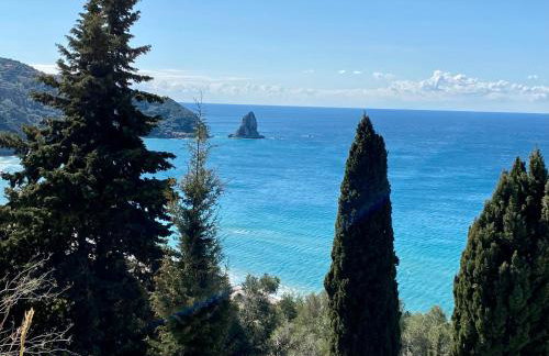 The Little Patio House - Foto 25