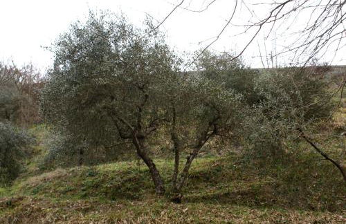 Tradizione Toscana ristrutturata nel 2021 - Foto 75