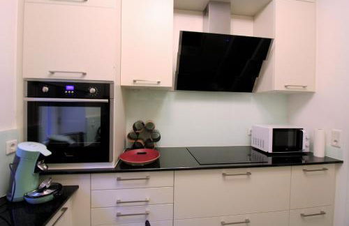 Luxury city apartment - view of river and castle - Foto 21