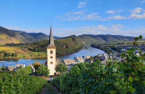 Winzerhaus Schenk - Photo 9