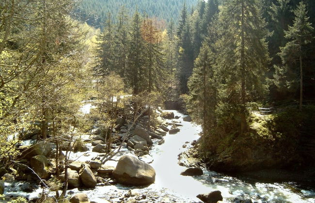 Monteurwohnung Langelsheim max 5 Personen - Foto 16