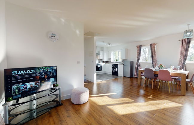 Green View - Foto 18