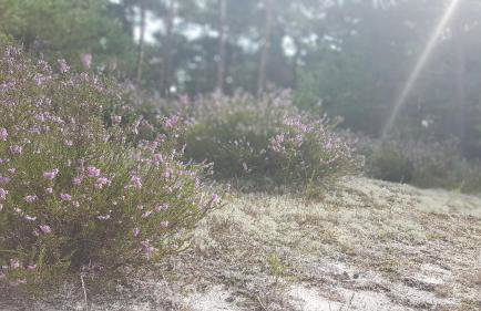 BLUE MARINE APARTAMENT 19 z Tarasem i widokiem na morze przy plaży - Foto 40