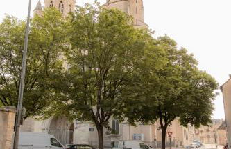 Suite Montrachet 4 personnes vue cathédrale 1 Place de parking - Foto 31