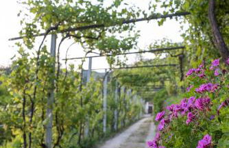 Casa da Torre, Porto Manso - Foto 69