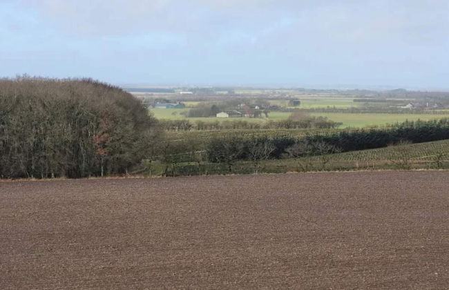 4 Person Holiday Home in Skaerbaek-by Traum - Foto 22