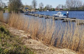 Zum Eiderweg Hennstedt - Photo 7