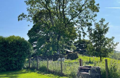 Barcloy Honey House - Foto 19