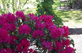 Spreewald-Ferienwohnung Jahn - Foto 22