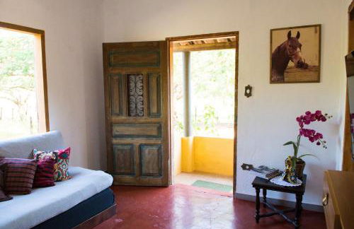 Fazenda Santa Thereza - Itapira - Foto 77