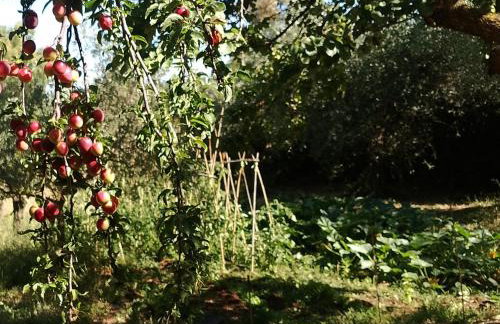 Country House tra lago e mare a Sud di Roma - Foto 30