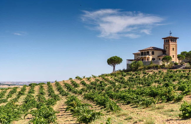 Visita a las Bodegas Piedra - Foto 1