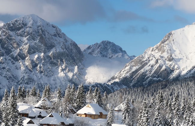 Koča Žafran - Velika planina - Foto 21