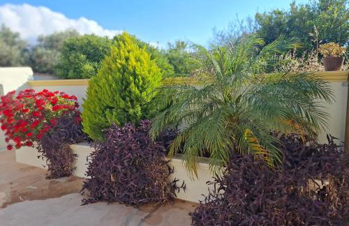 Casa Ioanna - Elegant Residence - Foto 27