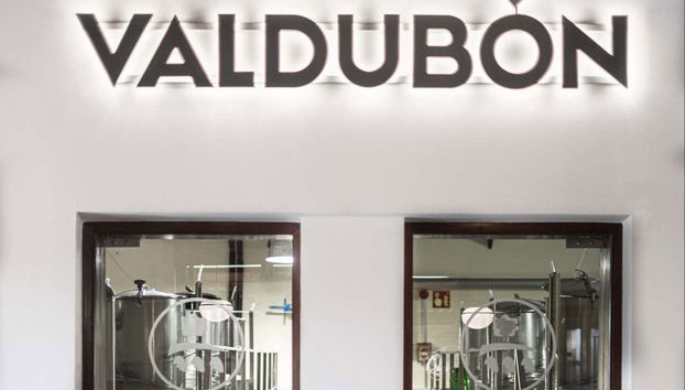 Bodegas Valdubón, à Ribera del Duero