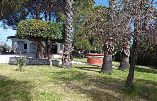 Villa la Pineta - Photo 37