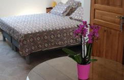 VILLA.H GARDEN - Foto 16