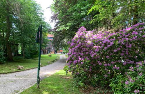 Haus am Kurpark - Foto 23