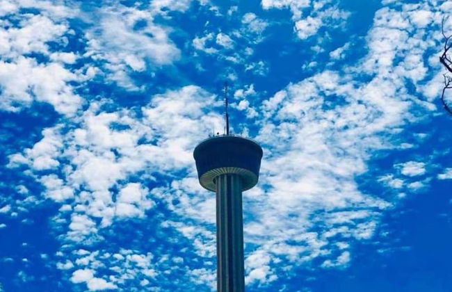 Gorgeous Family-friendly Home Near Downtown - Photo 28