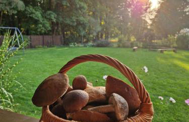 Łap Las Pelnik - Photo 24