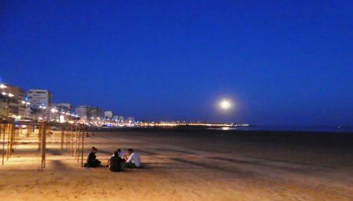 Les Sables superbe T3 cadre unique 7mn à pied de la mer - Foto 5
