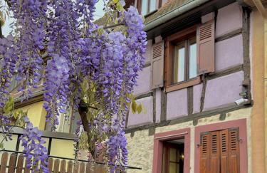 Ide'Alsace - Foto 11