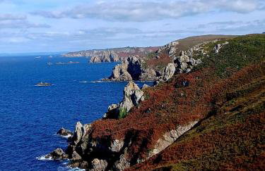 Les hortensias de papy - Foto 36