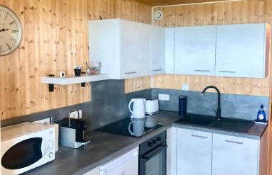 Charmant appartement avec départ et retour skis aux pieds - Photo 5