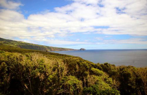 Villa Capelinhos - Foto 34