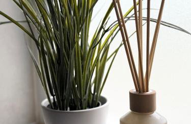 The Little Fern - Foto 20