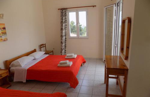 JERRY'S STUDIOS LASSI - Photo 48