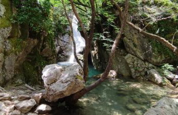 Chrysandra - Foto 45