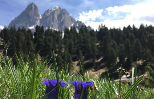 Agriturism Gscnara - Foto 28