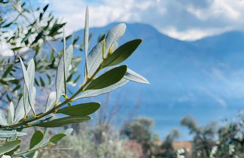 APARTMENT RIVA Lenno - Foto 24