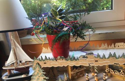 Ferienhaus mit Terrasse - Insel Usedom - Foto 12