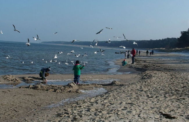 Nice Apartment in Lubmin - Foto 15