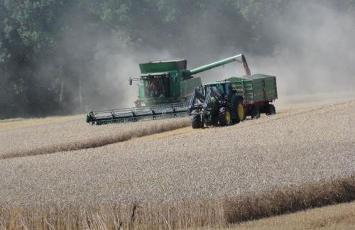 Ferienwohnung Jäger - Foto 26