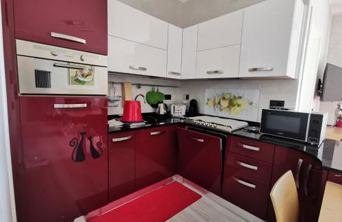 Appartamento - IRIS - Vallecrosia - Photo 12