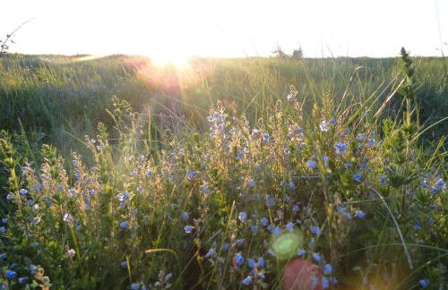 Ferienwohnung zum Breitling in Stove - Foto 11