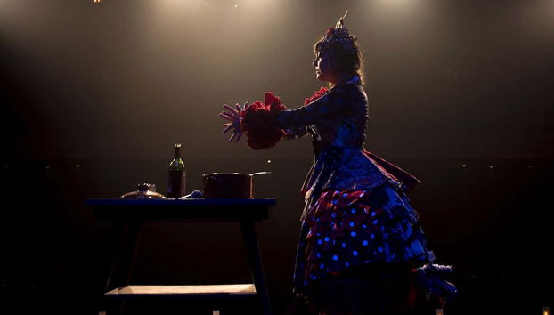 Teatro Flamenco Sevilla Show - Foto 5