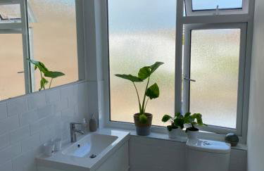 The Studio - Foto 11