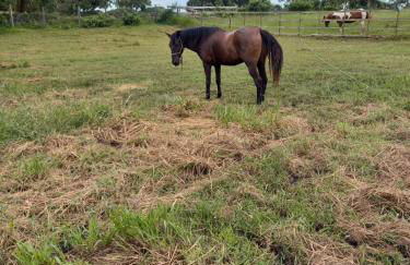 Refugio Brisa do Campo - IG - SOLAR DO CAMPO - Photo 103