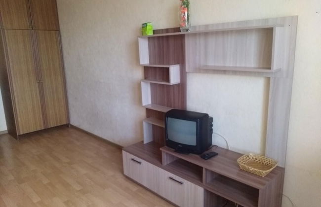 Apartment on Sovetskaya 17 A - Photo 5