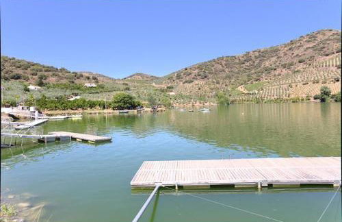 Anjú-Pardal - Foto 75