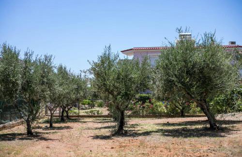 Villa Calliope Lardos - Photo 48
