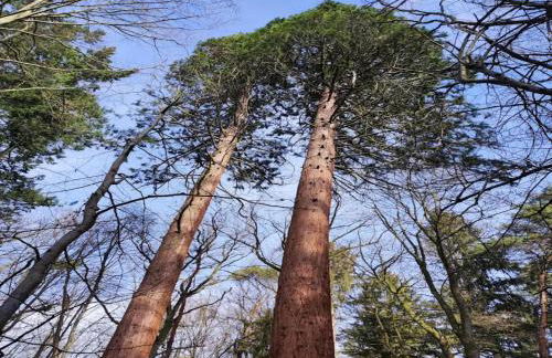 Chalet in Wendorf - Photo 38