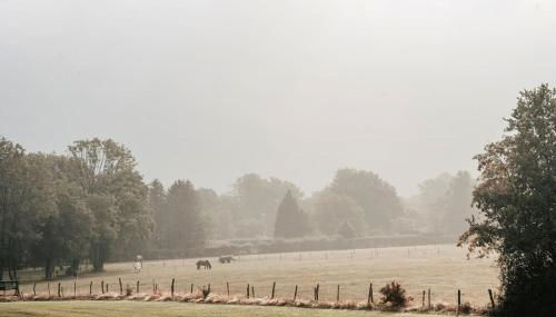 Wohlfühloase Roetgen für 6 Personen - Foto 4
