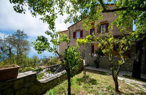 Agriturismo Fattoria Terranova - Foto 120