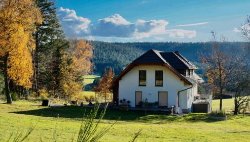 Waldfrieder Ferienwohnungen - Foto 4